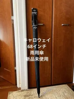 Item thumbnail for item 29591b02-83d8-4ac9-9400-355203823e9f