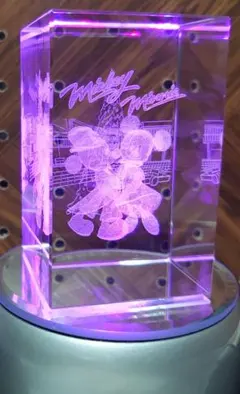 Disney クリスマス限定 3Dクリスタル