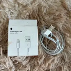 Apple Lightning to USB ケーブル 1m