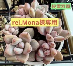 rei.Mona様 リクエスト 2点 まとめ商品