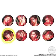 BOT バトルオブトーキョー缶バッジ 長谷川慎 THE RAMPAGE