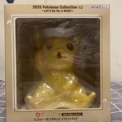 2025 Pokémon Collection!!
