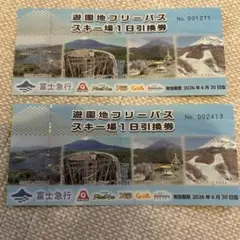 2025年最新】富士急 フリーパス 引換の人気アイテム - メルカリ