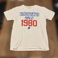 Stussy Undefeated 30th Tシャツ　美品　Lサイズ