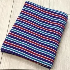 パープル×レッド×ブルー　ボーダー　薄手　ニット生地　平成レトロ
