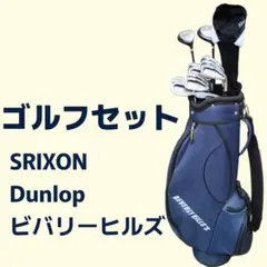 SRIXON ビバリーヒルズ Daiwa ゴルフクラブセット 14本フルセットのサムネイル