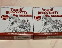 エニマイくじ 富江×ハローキティ E賞 アクリルヘアゴム アクリルピンズ