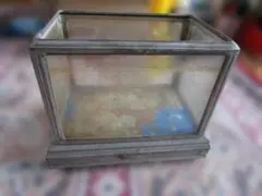 2026年最新】レトロ 水槽の人気アイテム - メルカリ