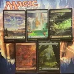 MTG フルアート基本土地 英語版FOIL50枚セット