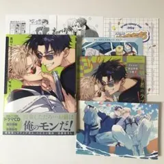 【あきら様専用】