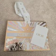 新品未使用 Dior トランプノベルティ&ホリデーギフトバッグ付