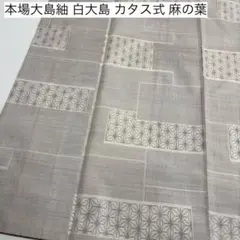 本場大島紬 白大島 カタス式 麻の葉 素敵な絣柄 着物 正絹 AK-8567