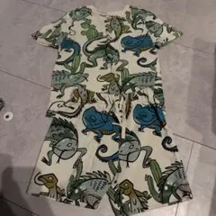 H&M イグアナ柄 セットアップ 110-116cm