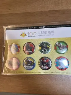 京阪「淀駅」高架化完成記念　記念入場券付きホルダー　JRA京都競馬場　非売品 2025年最新】京都競馬場 入場券の人気アイテム - メルカリ