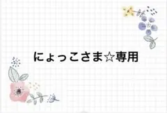 にょっこさま☆専用　おりこうエプロン　3点　ハンドメイド