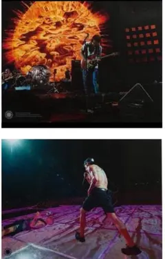 レッチリ　ロンハーマン　ポスター Red Hot Chili peppers Ronherman Lサイズ