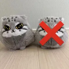 【エブリデイ限定】 やる気のあるマヌルネコS 1点