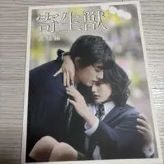 Item thumbnail for item 9cac23c3-6d4b-4b0c-8712-d646a97daff4