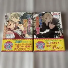 銀の王子と琥珀の姫　黒の将軍と東の塔の魔女　2冊セット