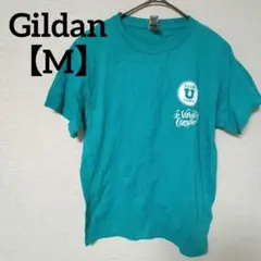 Gildan【M】ターコイズ 半袖Tシャツ バックプリント