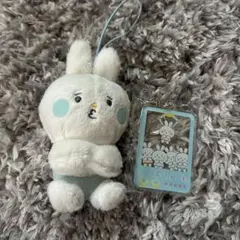くずぴょん ぬいぐるみ マスコット アクリルキーホルダー