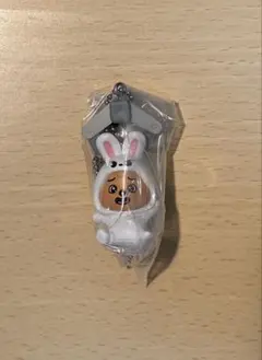 straykids SKZOO つまんでつなげてますこっと vol.2