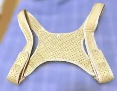 Item thumbnail for item 977da612-812e-48fa-a2db-5db532f6d1e1