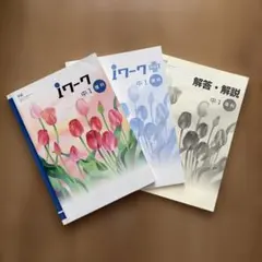 【美品】2025年度版 iワーク 中1 5教科セット 書き込み無し 美品】2025年度版 iワーク 中1 5教科セット 書き込み無し 【公式通販】