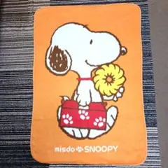 フトアゴヒゲトカゲ様 リクエスト 2点 まとめ商品