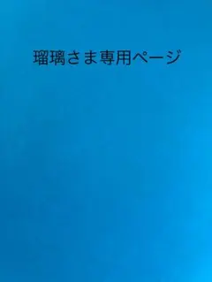 瑠璃さま専用ページ