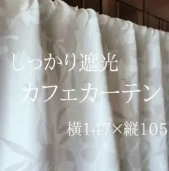 Item thumbnail for item b220678c-470d-4fd2-98a9-a06f20afd40e