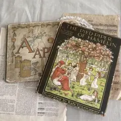 洋書 ボタニカルアート 60年代 アンティーク ビンテージ 植物図鑑 花