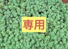 パリダム 200cut kanon様専用