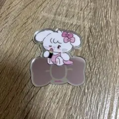 mikkoリルアラモード アクリルミラー シークレット