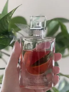 TOVA 香水　ビバリーヒルズ オードパルファム 100ml TOVA 香水 ビバリーヒルズ オードパルファム 100ml 【公式通販】