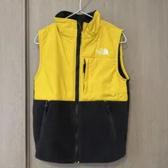 【希少】THE NORTH FACEキッズ130フリース　デナリベスト