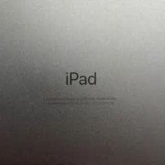 iPad Pro 256GB 11インチ　スペースグレー　A1980