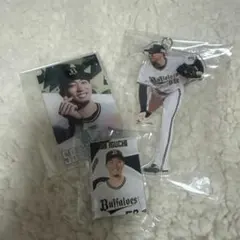 オリックスコロチャレ