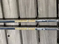 Dynamic Gold 95 S200 ウェッジ用シャフト 2本セットのサムネイル