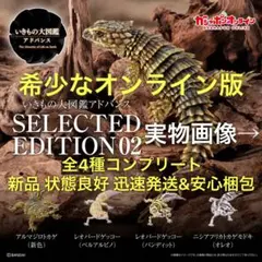オンライン版 いきもの大図鑑アドバンス シークレットエディション02 全4種 ② オンライン版 いきもの大図鑑アドバンス シークレットエディション02