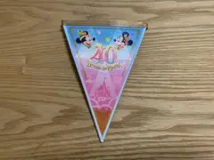 東京ディズニーランド 40周年記念 バナー