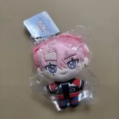 多聞くん今どっち！？　ぬいパル　福原多聞のサムネイル