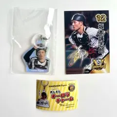 背番号12 坂本誠志郎　カード　チャーム　セット