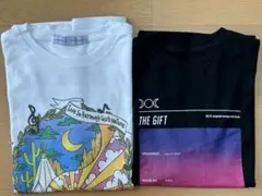 ☆平井大　ライブTシャツ　2枚セット☆