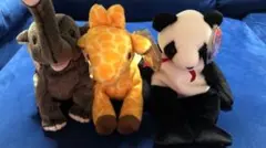 Item thumbnail for item a8f60a96-3cd8-44c0-88e9-f752abe8be34