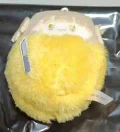 僕のヒーローアカデミア くるみたぴぬい トガヒミコ