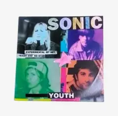 Sonic Youth EXPERIMENTAL JET SET レコード