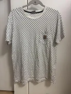 カーハートWIP Carhartt WIP GUCCI柄 ボーダーTグッチ 希少 - メルカリ