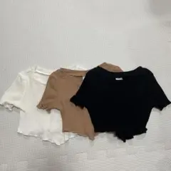 SHEIN リブ素材 クロップドTシャツ 3色セット