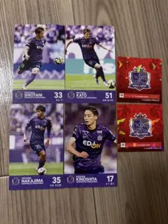 ルヴァンカップ決勝 限定サンフレッチェ広島 選手カード4枚セット